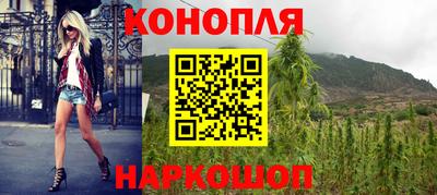 прущие грибы Славгород