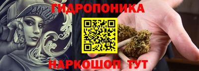 крисы Сланцы