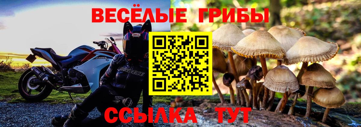 Меф кристаллы  Гашиш  Нерюнгри  COCAIN  Экстази  Купить закладку  Вход с VPN  ГАШ  МАРИХУАНА 